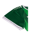 JAKO Preußen Münster Trikot Home 2025/2026 Grün - gruen