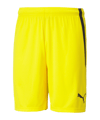 PUMA teamLIGA Short Gelb Schwarz F07