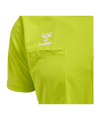 Hummel CHEVRON Torwarttrikot Gelb F6102 - gelb