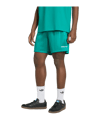 adidas DFB Deutschland EQT Short Grün - gruen