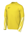 Nike Park V Trikot langarm Kids Gelb F718