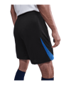 Nike Paris Saint-Germain Strike Short Schwarz F010 - schwarz