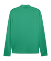 PUMA teamGOAL Trainingsjacke Grün F05 - gruen