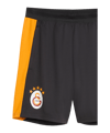 PUMA Galatasaray Istanbul Training Short Grau F06 - grau