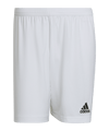 adidas Entrada 22 Short Weiss - weiss