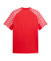 PUMA teamLIGA26 Trikot Rot F01 - rot