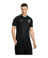 adidas FMF Mexiko Trikot 3rd WM 2026 Schwarz - schwarz