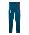 PUMA FPF Portugal Trainingshose Kids Blau F15 - blau