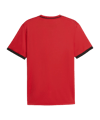 PUMA teamLIGA26 Striped Trikot Rot F11 - rot