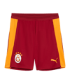 PUMA Galatasaray Istanbul Training Short Rot F01