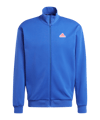 adidas Future Icons Badge of Sport Sweatshirt Blau