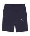 PUMA teamGOAL Casuals Shorts Blau F06 - dunkelblau
