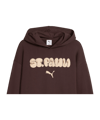 PUMA FC St. Pauli Graphic Hoody Braun F01 - braun