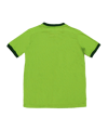 Nike Revolution III Trikot kurzarm Grün F313 - gruen