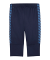 PUMA teamLIGA26 3/4 Trainingshose Blau F06 - blau