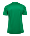 Hummel Match Striped Trikot Grün F6129 - gruen