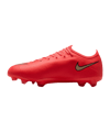 Nike Air Zoom Mercurial Vapor XVII Pro FG Break'Em Kids Rot F600 - rot