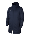 Nike Park 20 Winterjacke Damen Blau F451