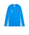 PUMA teamLIGA26 Training Sweatshirt Blau F02