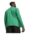 PUMA teamGOAL Trainingsjacke Grün F05 - gruen
