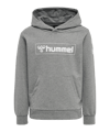 Hummel Box Hoody Kids Grau F2800 - grau