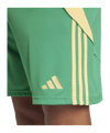 adidas Tiro 24 Short Grün Orange - gruen