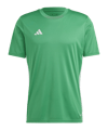 adidas Tabela 23 Trikot Grün Weiss