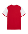 PUMA teamLIGA26 Matchday Trikot Rot F01 - rot