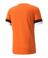PUMA teamRISE Trikot Orange F08 - orange