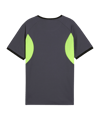 PUMA Trikot Kids Grau F08 - grau
