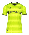Castore Bayer 04 Leverkusen Torwarttrikot Home 2022/2023 Grün - gruen