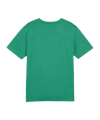 PUMA teamFINAL Trikot Kids Grün F05 - gruen