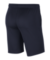 Nike Park 20 Knit Short Blau Weiss F451 - blau