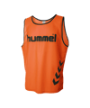 Hummel Kennzeichnungshemd Bib Training F5179
