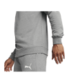 PUMA teamGOAL Casuals Sweatshirt Grau F33 - grau