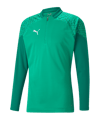 PUMA teamCUP HalfZip Sweatshirt Grün F05