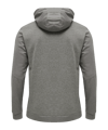 Hummel Authentic Poly Hoody Grau F2006 - grau