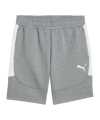 PUMA teamEVOSTRIPE Short Grau F33 - grau
