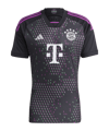 adidas FC Bayern München Trikot Away 2023/2024 Schwarz