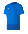 PUMA teamGOAL 23 Training Trikot Kids Blau F02
