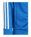 adidas Originals Adicolor Trainingsanzug Kids Blau - blau