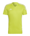 adidas Condivo 22 Trikot Grün Weiss