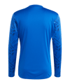 adidas Team Icon 25 Trikot Blau - blau