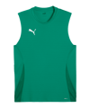 PUMA TeamGoal Trikot Grün F05