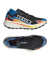 adidas TERREX Agravic GTX Laufschuh Schwarz