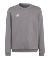 Sweatshirt enfant adidas Entrada 22 Gris 