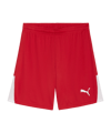 PUMA teamLIGA26 Short Rot F01