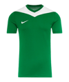 Nike Park Derby IV Shirt Groen F302  