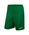 Nike Park II Court Vert C302 