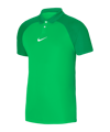 Nike Academy Pro Poloshirt Groen Wit F329  